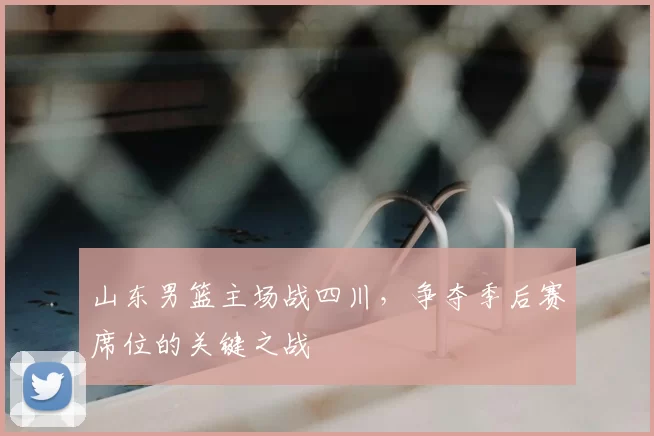 山东男篮主场战四川，争夺季后赛席位的关键之战