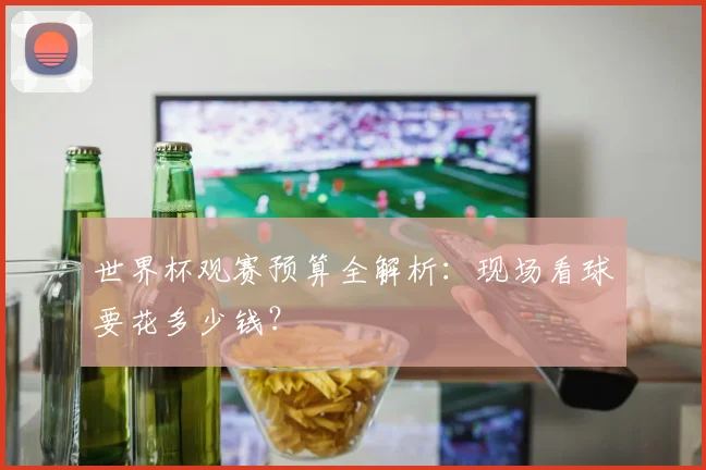 世界杯观赛预算全解析：现场看球要花多少钱？