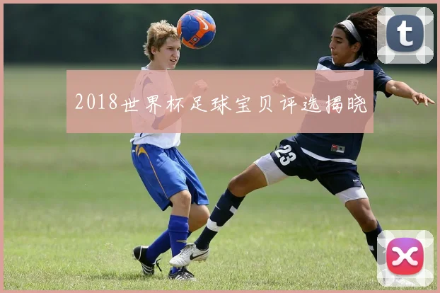 2018世界杯足球宝贝评选揭晓