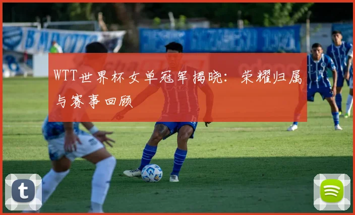 WTT世界杯女单冠军揭晓:荣耀归属与赛事回顾