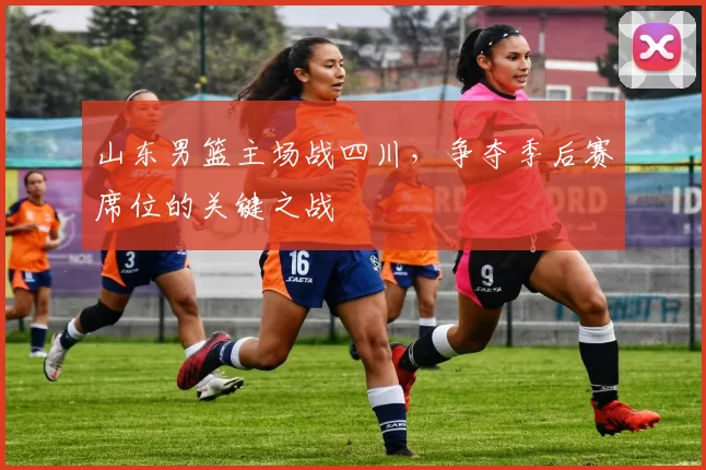 山东男篮主场战四川,争夺季后赛席位的关键之战