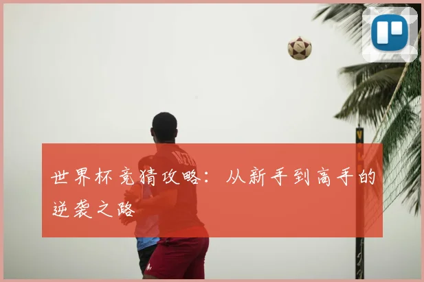 世界杯竞猜攻略:从新手到高手的逆袭之路