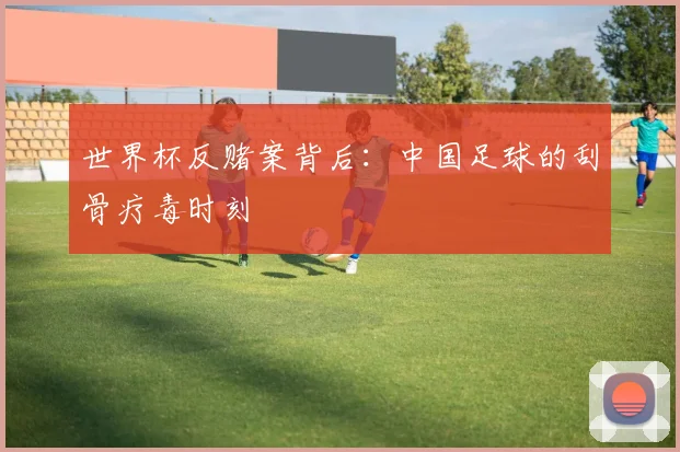世界杯反赌案背后：中国足球的刮骨疗毒时刻