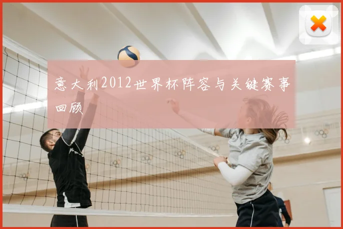 意大利2012世界杯阵容与关键赛事回顾