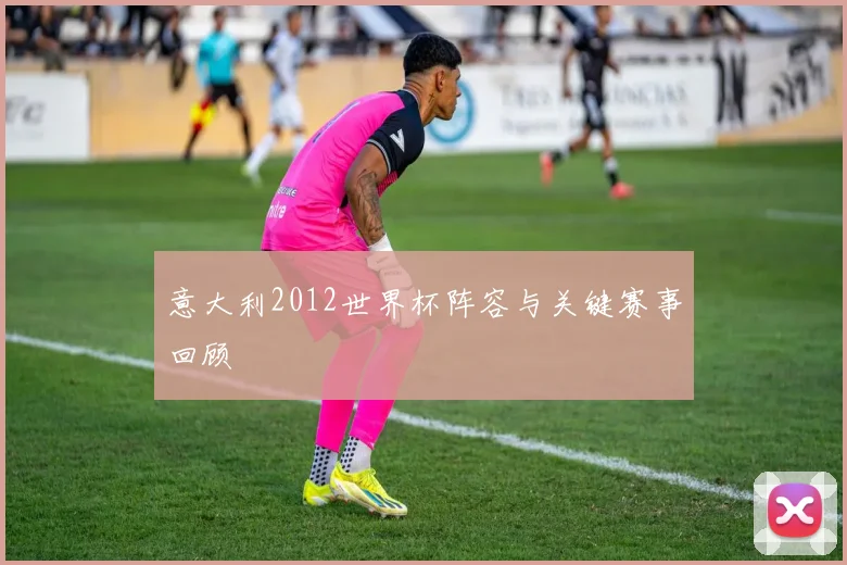 意大利2012世界杯阵容与关键赛事回顾
