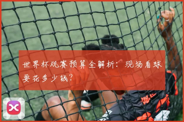 世界杯观赛预算全解析:现场看球要花多少钱?