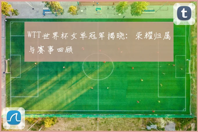 WTT世界杯女单冠军揭晓:荣耀归属与赛事回顾