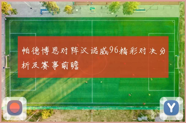 帕德博恩对阵汉诺威96精彩对决分析及赛事前瞻