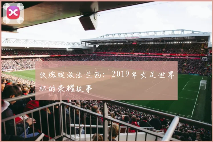 玫瑰绽放法兰西：2019年女足世界杯的荣耀故事